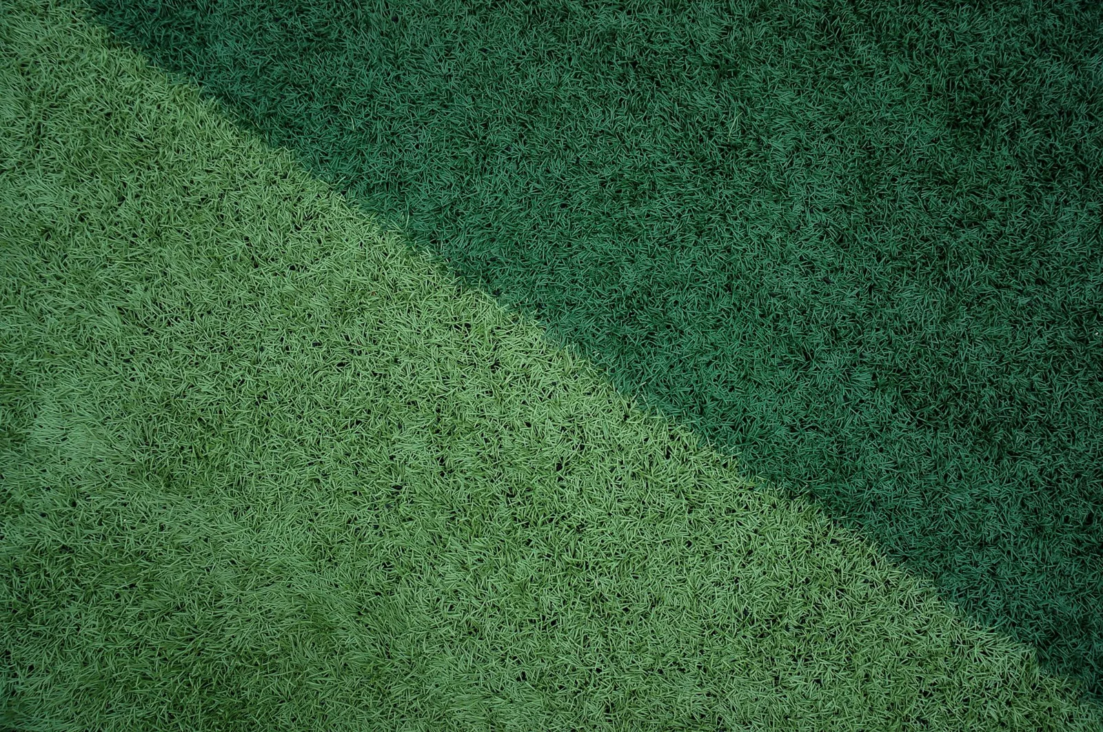 Artificial turf vs sod comparison in a residential front yard