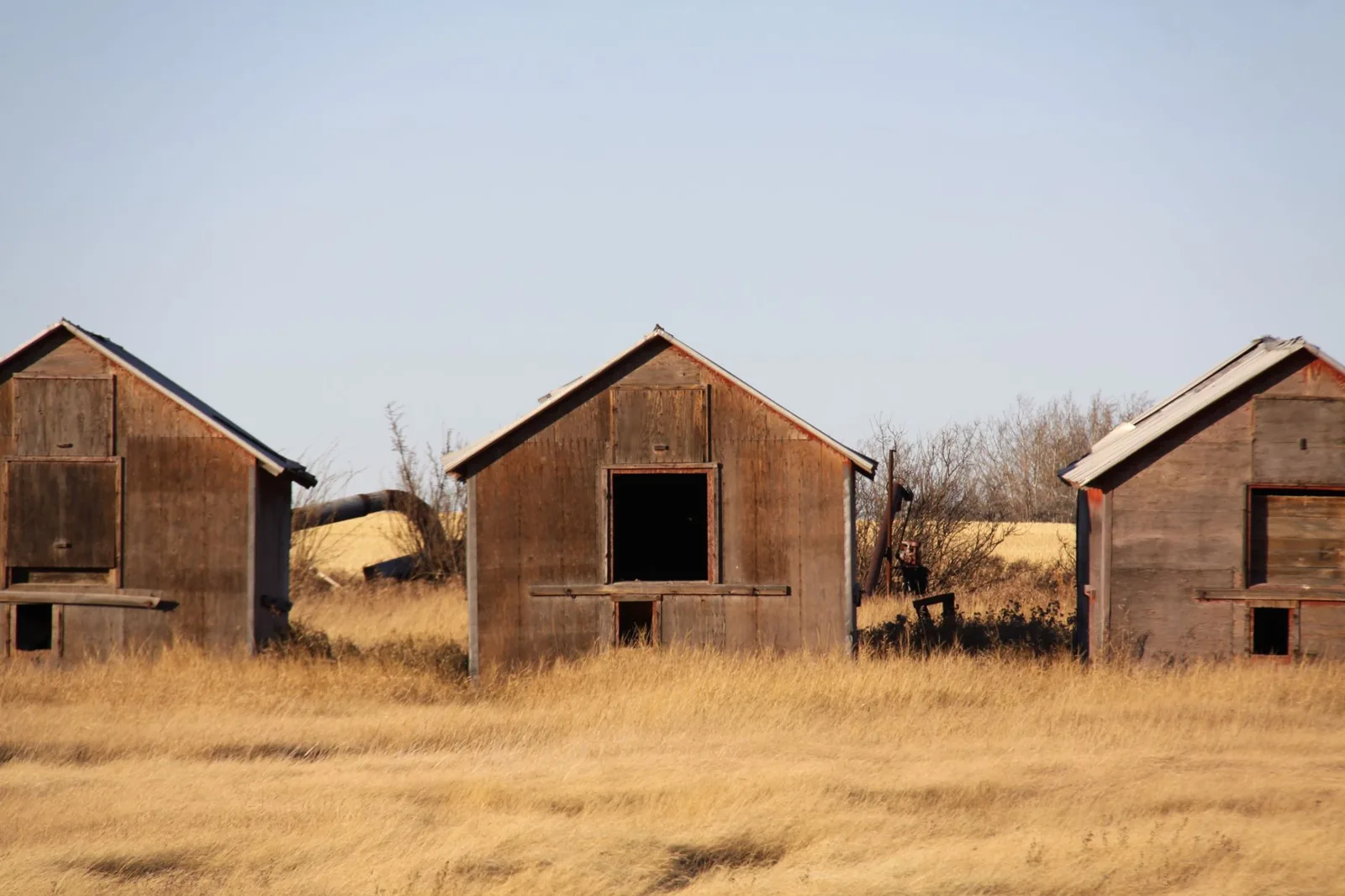 Wood storage shed cost varies by timber, size, and labor