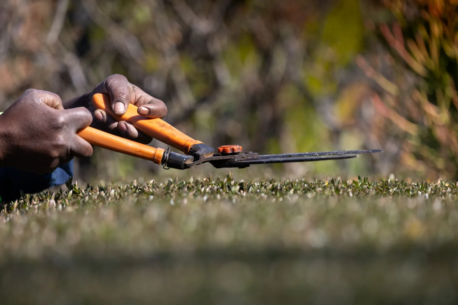 How much does landscaping cost for a full yard install