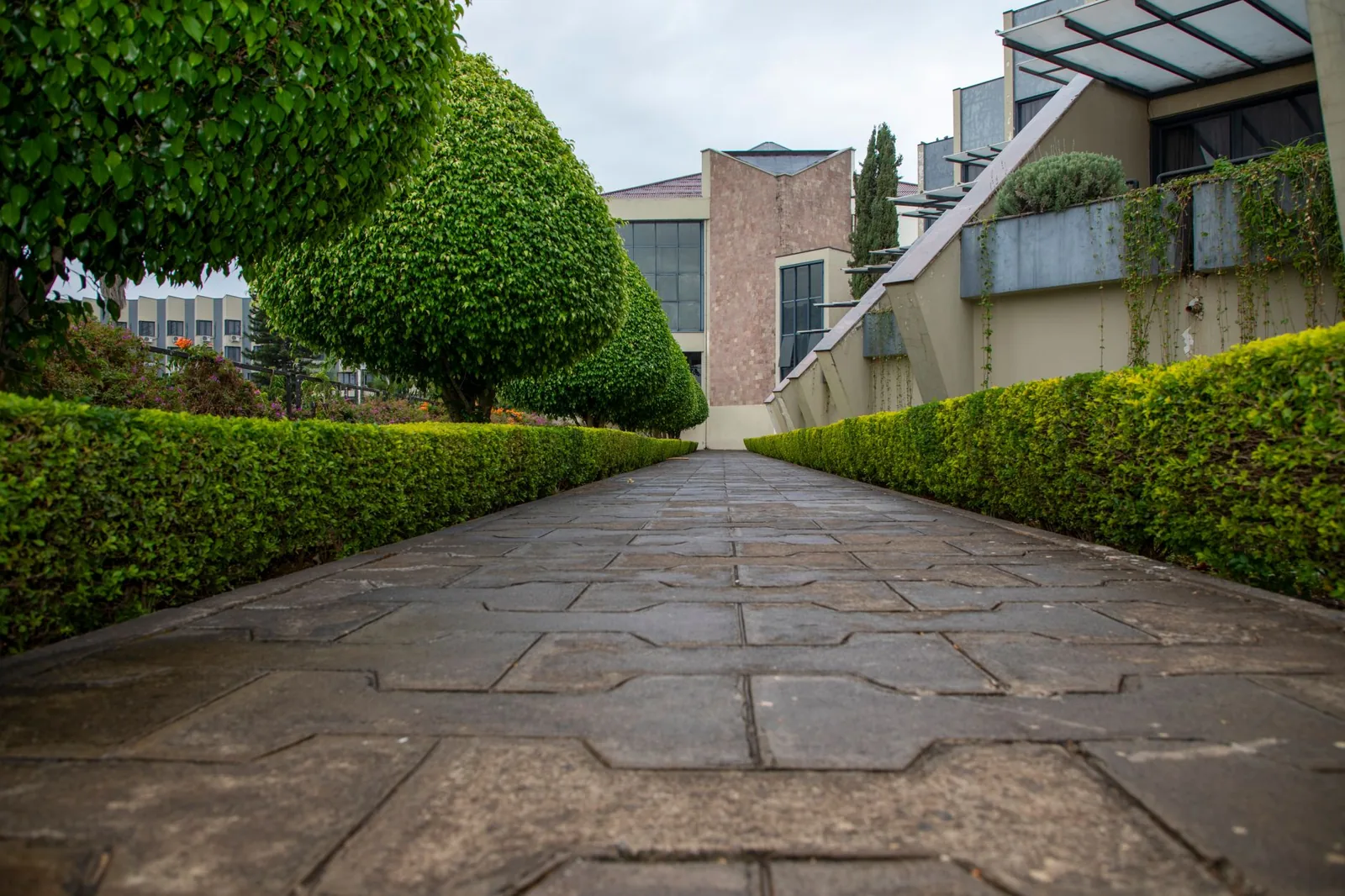 Landscape design cost for a professional backyard plan