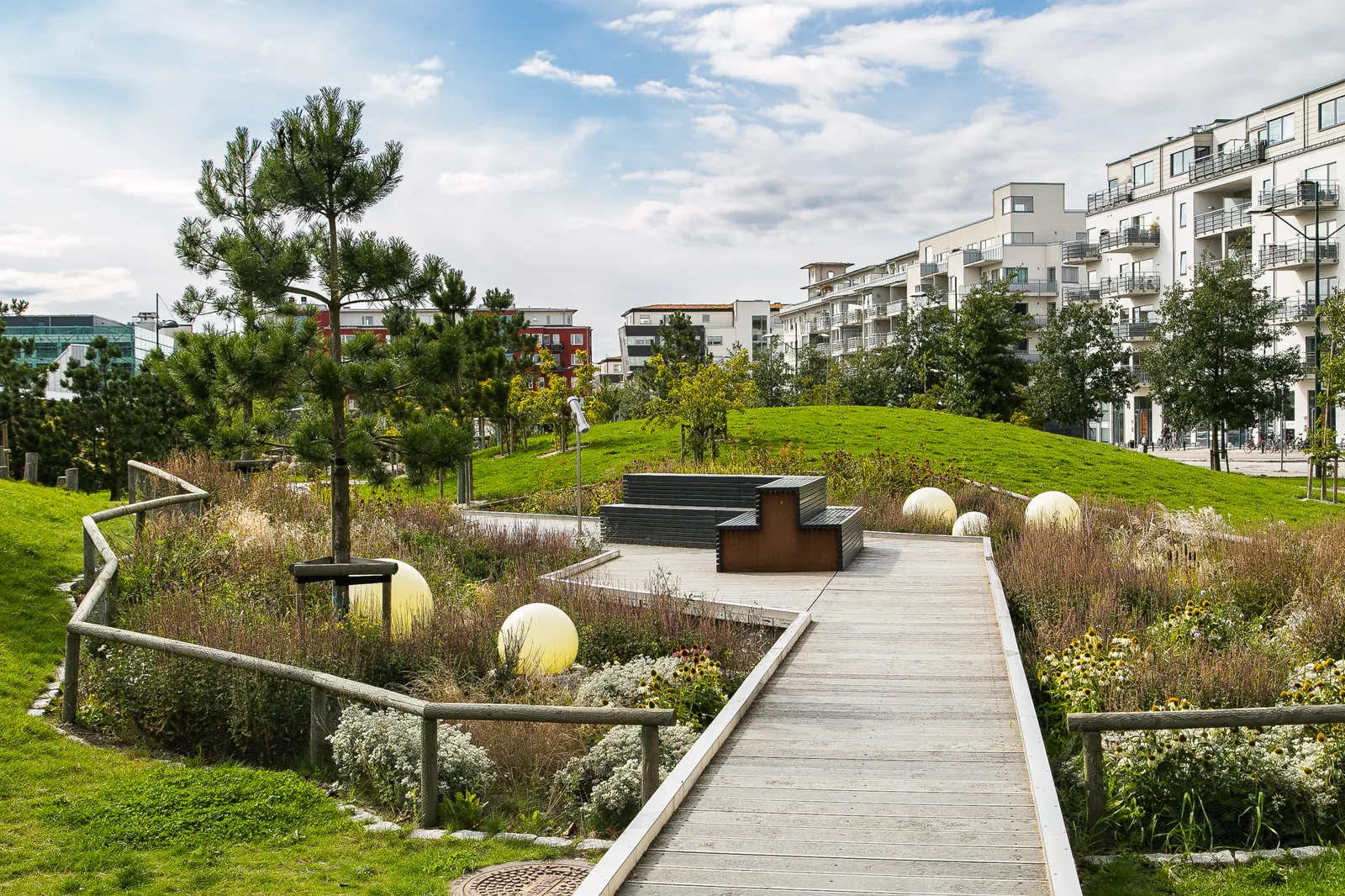 Backyard landscaping budget planning with plants and hardscape