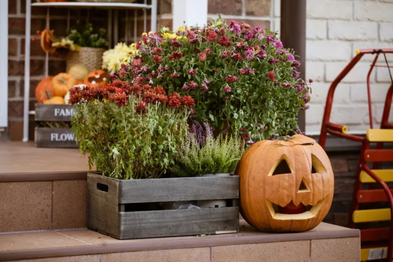 Front Porch Decorating Ideas: Welcoming Styles for Every Budget