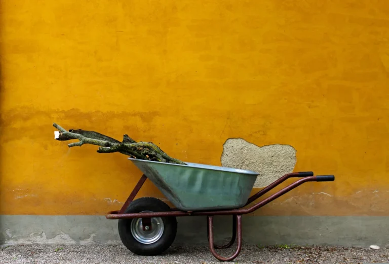 Hardscaping Cost: What You’ll Pay for Patios, Walkways, Walls & More