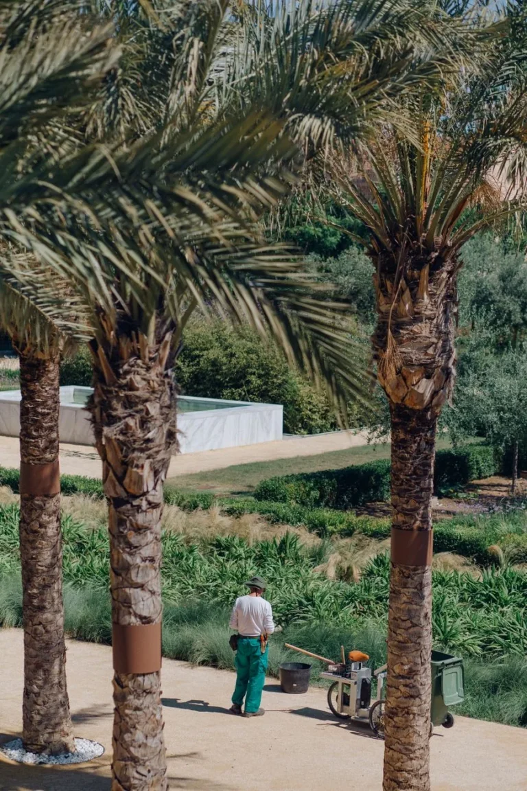 How Much Does Landscaping Cost? A Realistic 2025 Price Guide