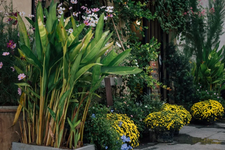 Landscaping Cost: What Homeowners Actually Pay in 2026
